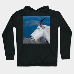 Wild and free Hoodie